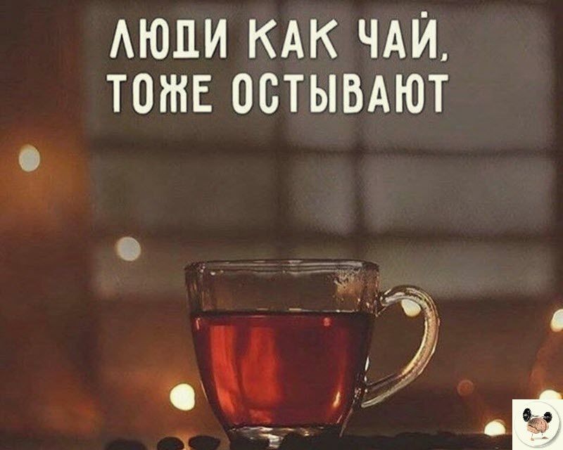 АЮЦИ КАК чди тотв остывАют