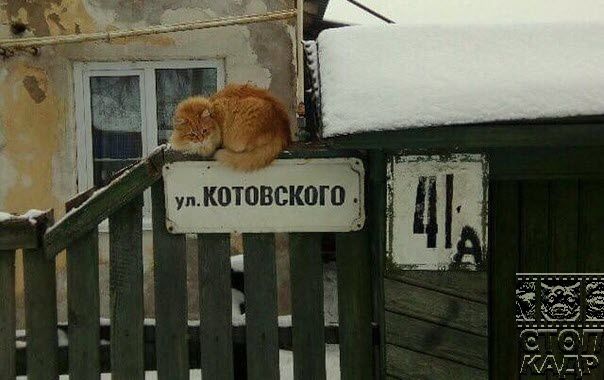 улКШПНСКШП
