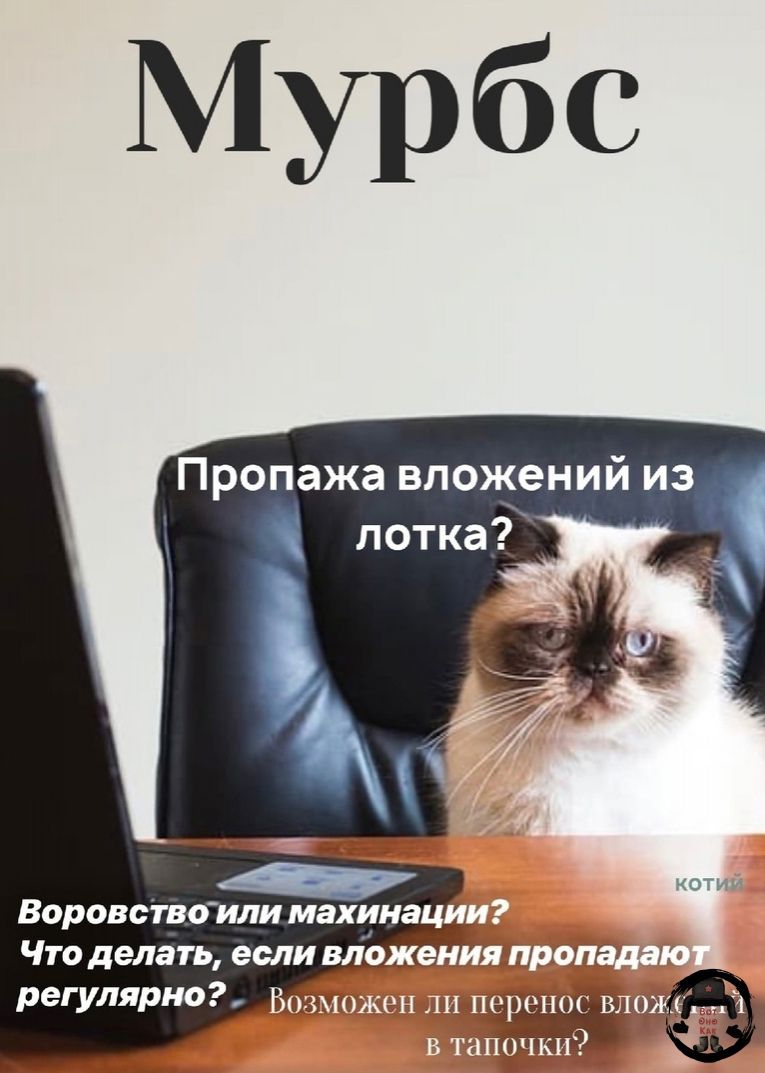Пропажа вложений из Воровствоили МЗХИНЗ Что делать если МО регулярно