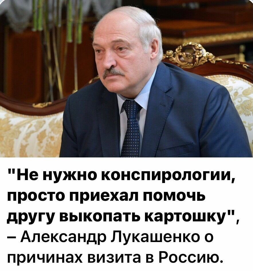 Не нужно конспиропогии просто приехал помочь другу выкопать картошку Александр Лукашенко о причинах визита в Россию