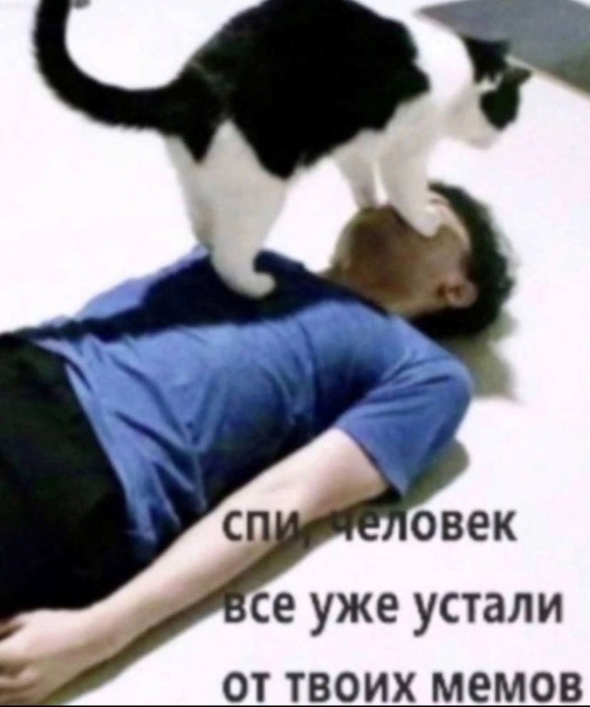 ОТ ТВОИХ МЕМОВ