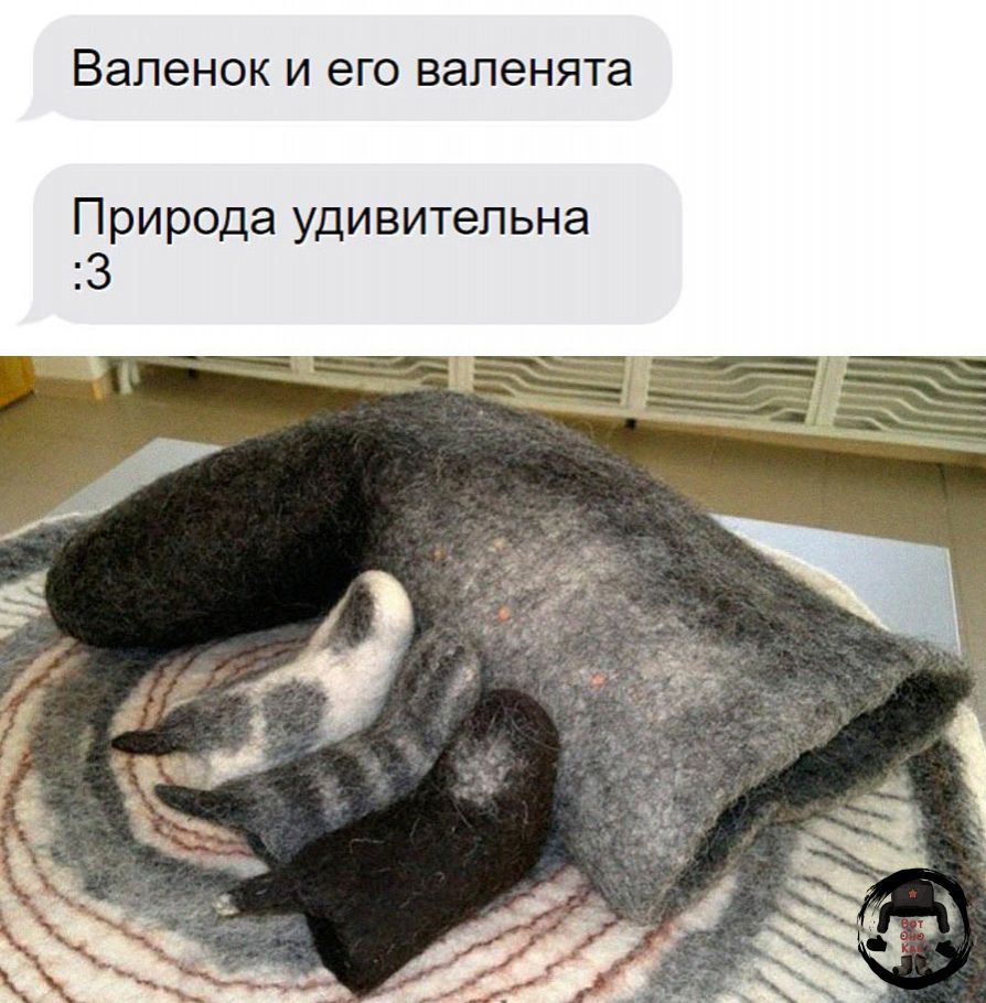 ВЕПЕНОК И ЕГО БЗПВНЯТЭ Природа удивительна 3