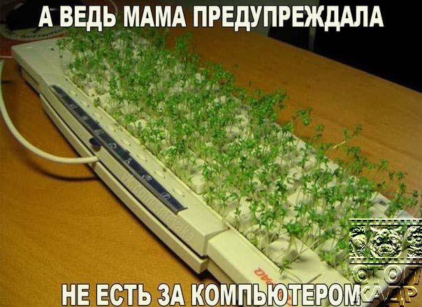 А ВЕДЬ МАМА ПРЕДУПРЕЖДША 4 р
