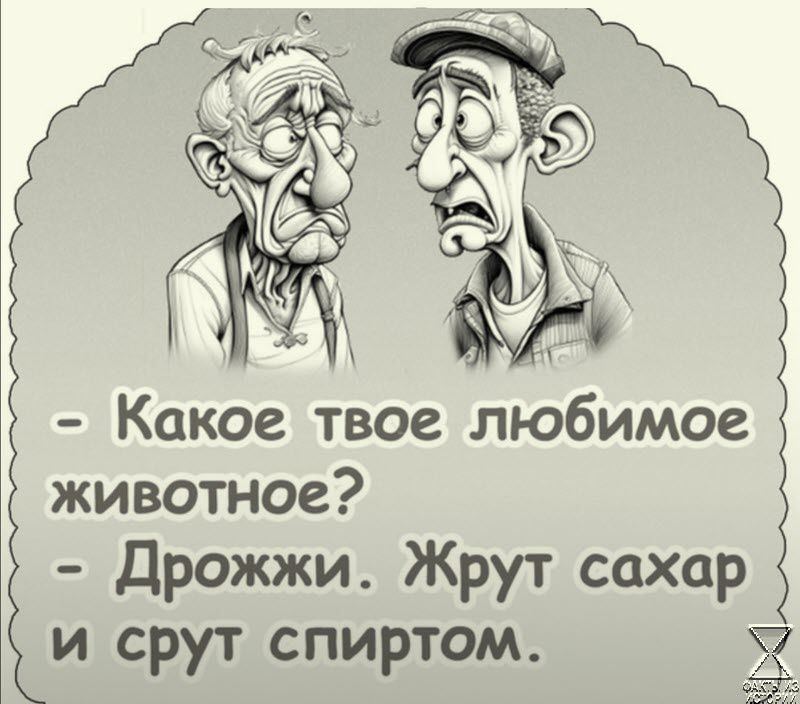 Какое твое любимое животное Дрожжи Жрут сахар и срут спиртом