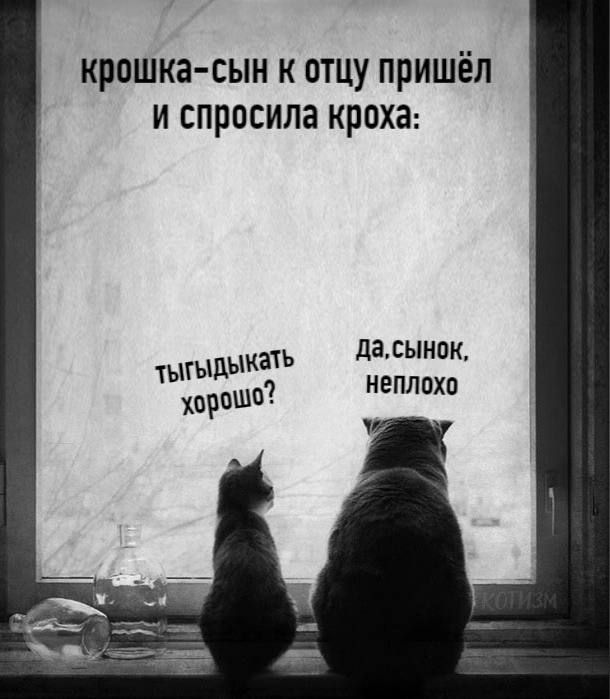 крошка сын к отцу пришёл и спросила кроха діСЫНОК НЕППВХП дыка харашо