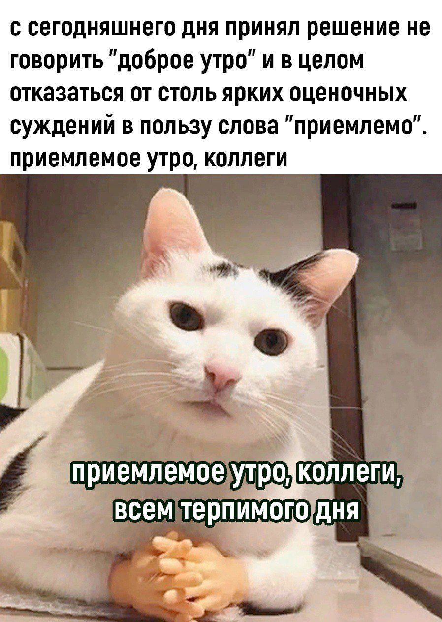 с сегодняшнего дня принял решение не говорить доброе утро и в целом отказаться от столь ярких оценочных суждений в пользу слова приемлемо приемлемое утро коллеги