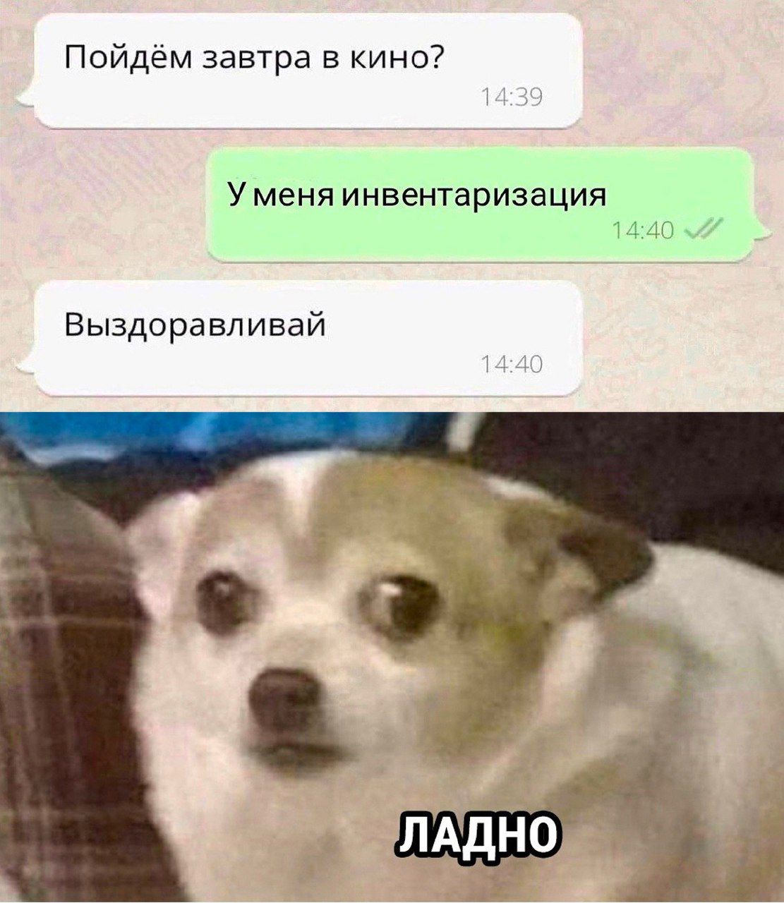 Пойдём завтра в кино У меня инвентаризация Выздоравл ивай