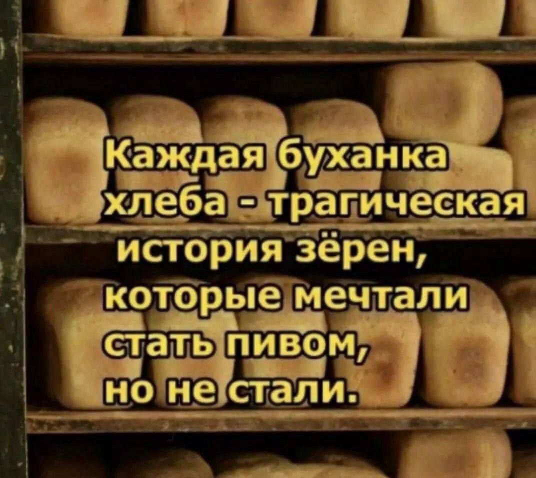 ИСіория зЁрен М койрьіёіаедтапй етатьп ивом но не скальпа