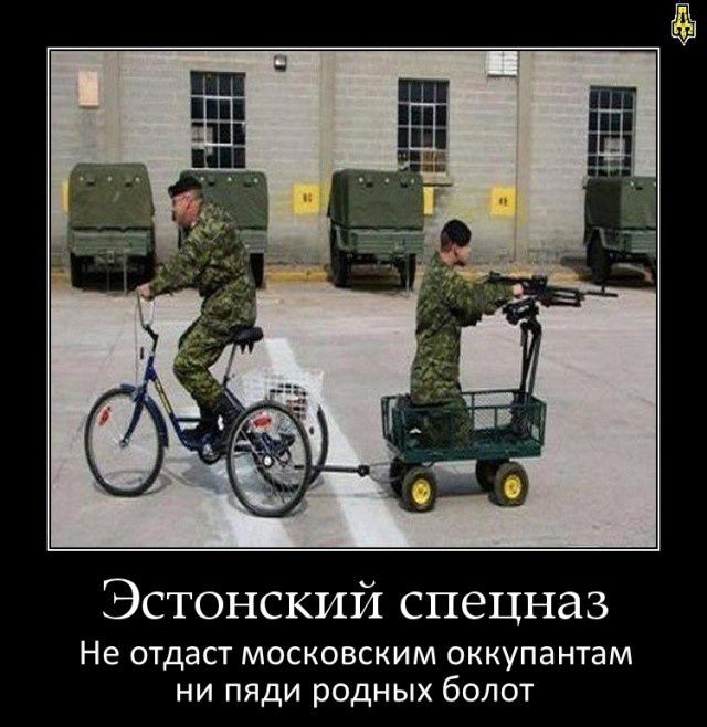 Эстонский спецназ Не отдаст МОСКОВСКИМ ОККуПаНТаМ ни пяди родных болот
