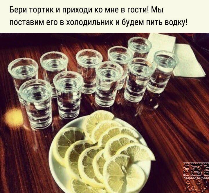 Бери тортик и приходи ко мне в гости Мы поставим его в холодильник и будем пить водку