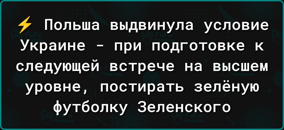 Польша выдвинула условие Украине при подготовке к следующей встрече на высшем уровне постирать зелёную футболку Зеленского