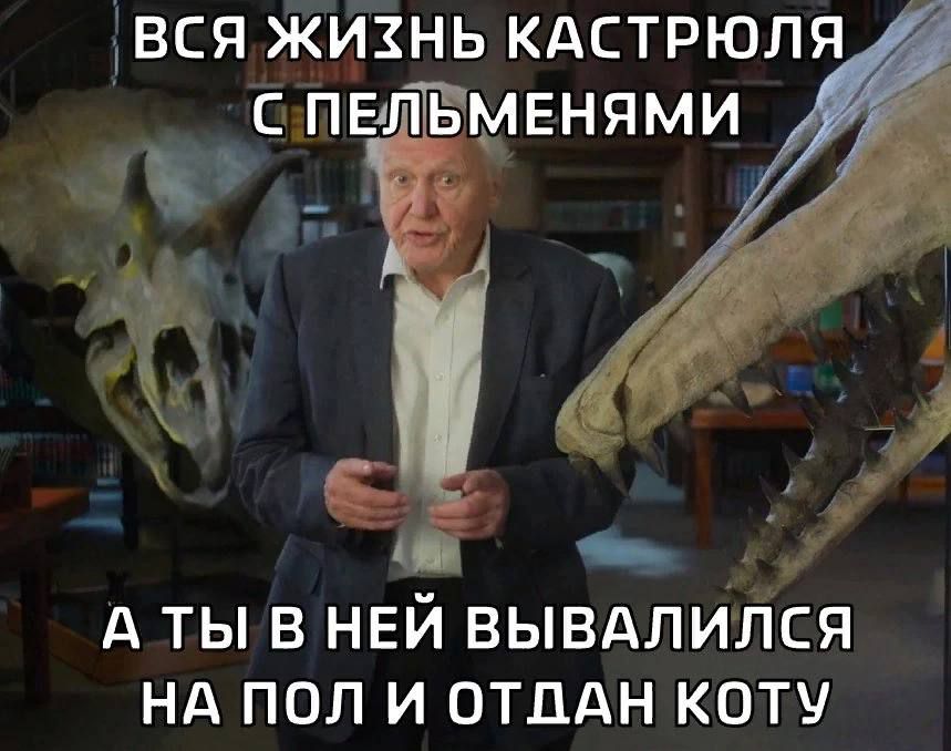 вся жизнь кдстрюля А ТЫ В НЕЙ ВЫВАЛИЛСЯ Нд ПОЛ И ОТДАН КОТУ