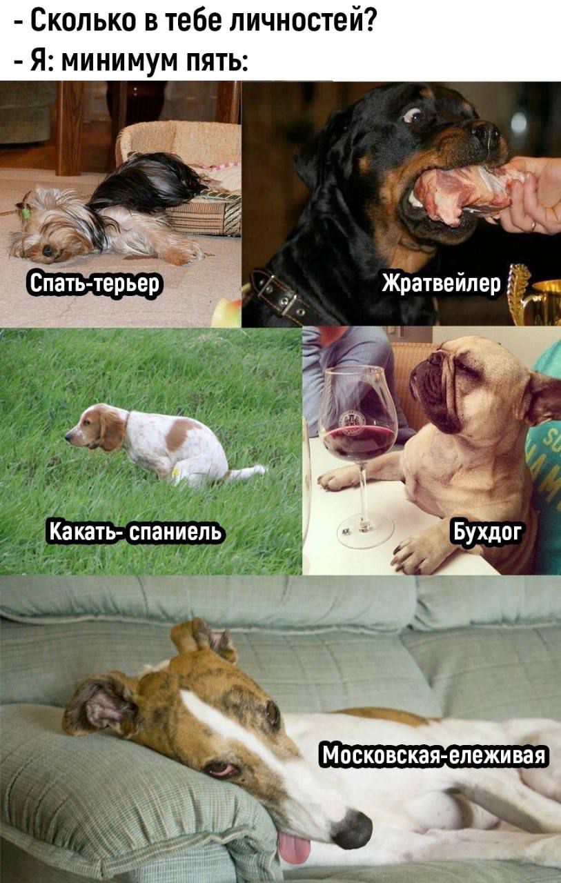 Сколько в тебе личностей Я минимум пять Москпвская епежи вая