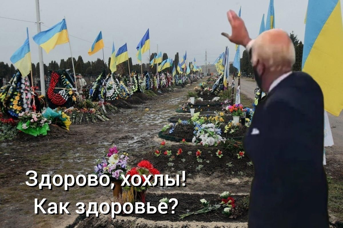 Как зщровьёг Мчт