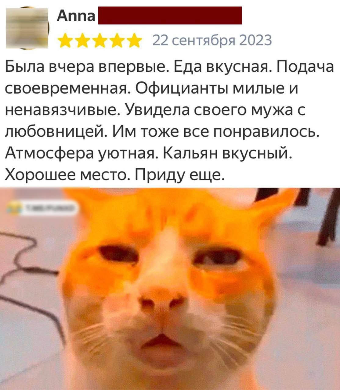 Ё Аппа 22 сентября 2023 Была вчера впервые Еда вкусная Подача своевременная официанты мипые и ненавязчивые Увидела своего мужа с любовницей Им тоже все понравилось Атмосфера уютная Кальян вкусный Хорошее место Приду еще мгРитка
