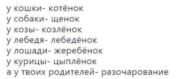 у кошки котёнок у собаки щенок у козы козлёнок у лебедя лебедёнок у лошади жеребёнок у курицы цыплёнок а у твоих родителей разочарование