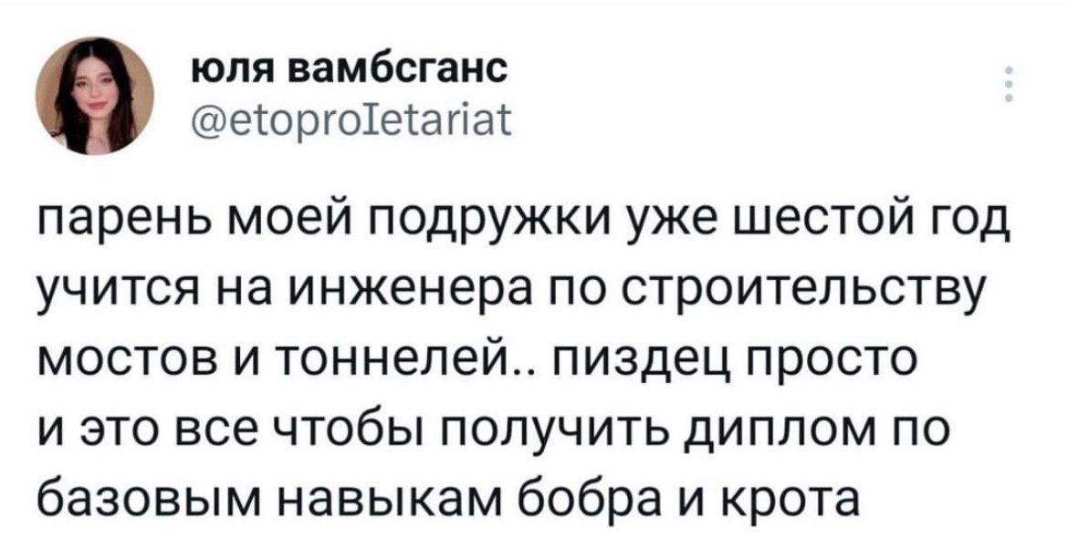 юля вамбсганс еюргоіеіагіаі парень моей подружки уже шестой год учится на инженера по строительству мостов и тоннелей пиздец просто и это все чтобы получить диплом по базовым навыкам бобра и крота