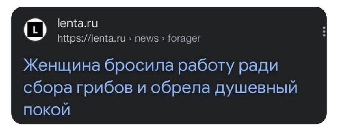 _ Ш 57571 Женщина бросила работу ради сбора грибов и обрела душевный покой