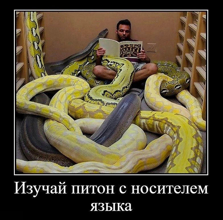 Изучай питон с носителем языка