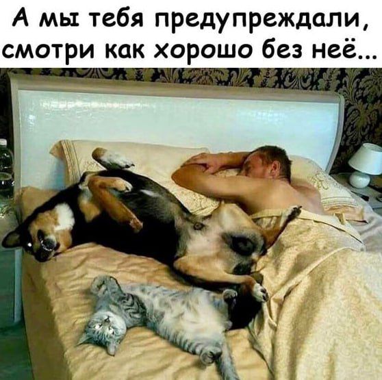 А мы тебя предупреждали смотри как хорошо без неё