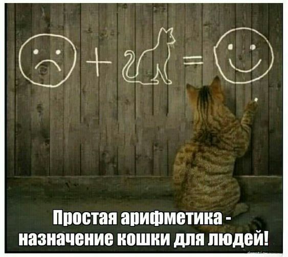ипостап апитметииа назначение кпшии для ЛЮДЕЙ