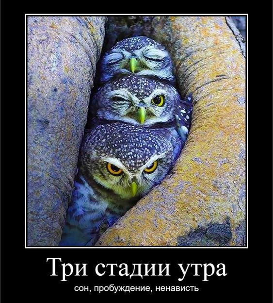 Три стадии утра ши прпбуждениа ненависгь