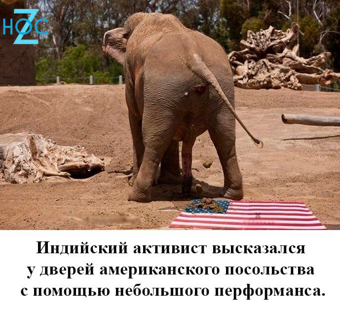 Индийский активист выска жалея у дверей американского посольства помощью небольшого перформанса