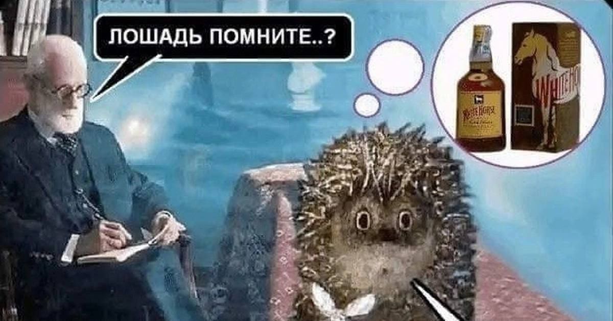 х пошАдь помните 7