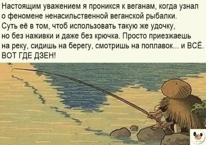 Настоящим уважением и проникся веткам когда узнал о Феномене ненасильствеииой выпиской рыбалки Суть её в тои чтоб использовать такую же удочку но без наживки и даже без крючка Прост приезжаешь на реку сидишь на берегу смотришь на поплавок и ВСЕ ВОТ ГДЕ ЦЗЕН