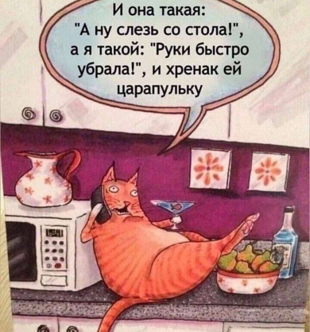 И она такая А ну спезь со стола а я такой Руки быстро убралаг и хренак ей