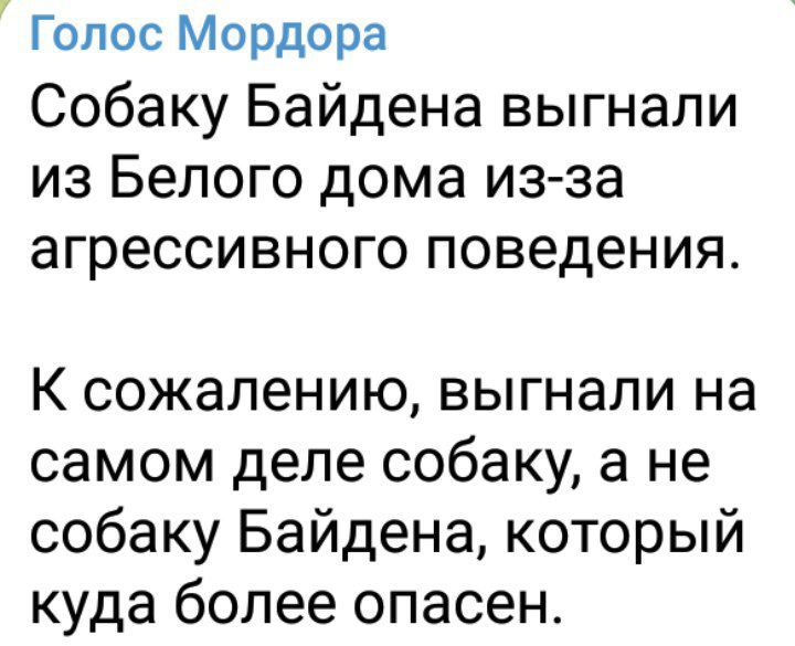 Голос Мордора Собаку Байдена выгнали из Белого дома из за агрессивного поведения К сожалению выгнали на самом деле собаку а не собаку Байдена который куда более опасен
