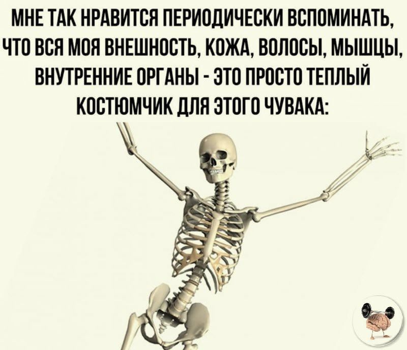 МНЕ ТАК НРАВИТСЯ ПЕРИПДИЧЕБКН ВЕППМИНАТЬ ЧТП ВВН МПН ВНЕШНППТЬ КОЖА ВПЛПСЫ МЫШЦЫ ВНУТРЕННИЕ ПРГАНЫ ЗТП ПРПВТП ТЕПЛЫЙ КПВТЮМЧИК ЦПП ЗТПГП ЧУВАКА
