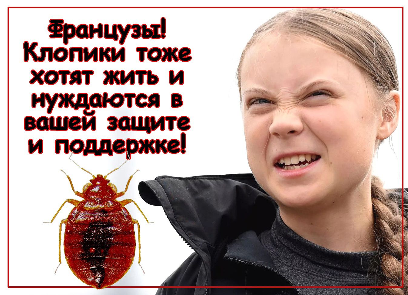 ранцуш кмпики топ хотят жить и _ щоются в 1 ИЩЕМ ЗШЦИТС и поддержке
