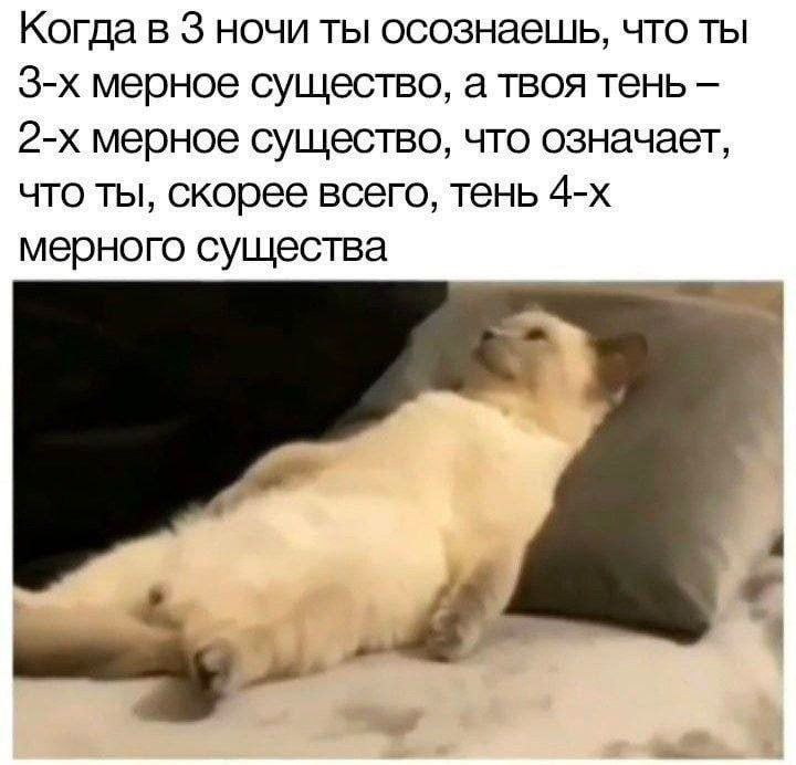 Когда В 3 НОЧИ ТЫ осознаешь ЧТО ТЫ 3х мерное существо твоя тень 2х мерное СУЩеСТВО ЧТО означает что ты скорее всего тень 4х мерного существа