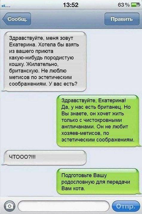 Здравствуйте меня зовут Екдтерииа Хотела бы взять из вешаю приюта кнут нибудь паромную кошку Жипвтельнц бртнскую не люблю метисов по эстетическим сообрвжеииям У вас есть ЧТООО Отгі