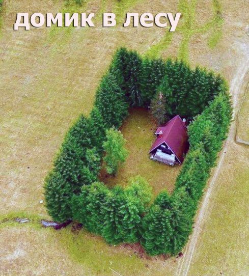 к до ц ш щ