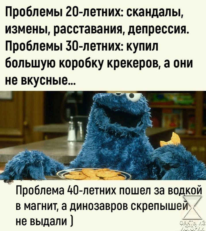 Проблемы 20 летниж скандалы измены расставания депрессия Проблемы 30 летних купил большую коробку крекеров а они не вкусные Проблема 40 петних пошел за водкои в магнит а динозавров скрепышей не выдали