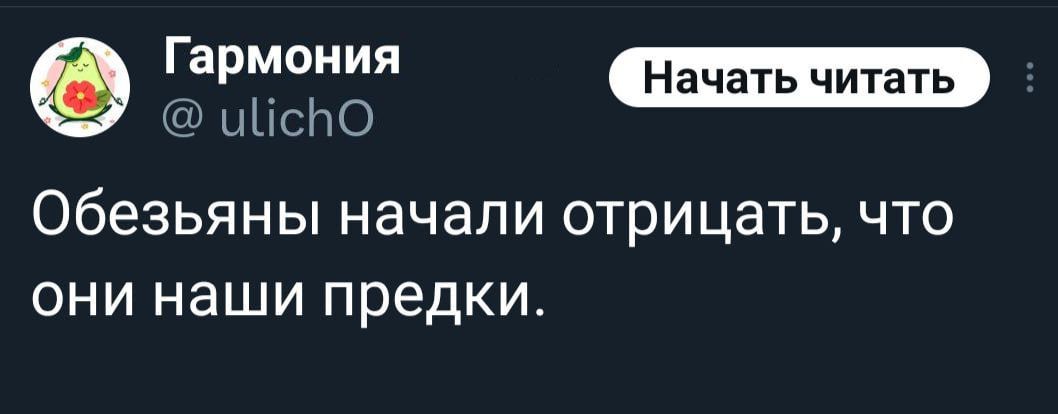 Гармония Начать читать мис Обезьяны начали отрицать что они наши предки