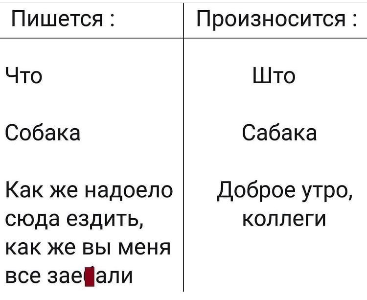 Пишется Произносится Что Што Собака Сабака Как же надоело Доброе утро сюда ездить коллеги как же вы меня все заеапи