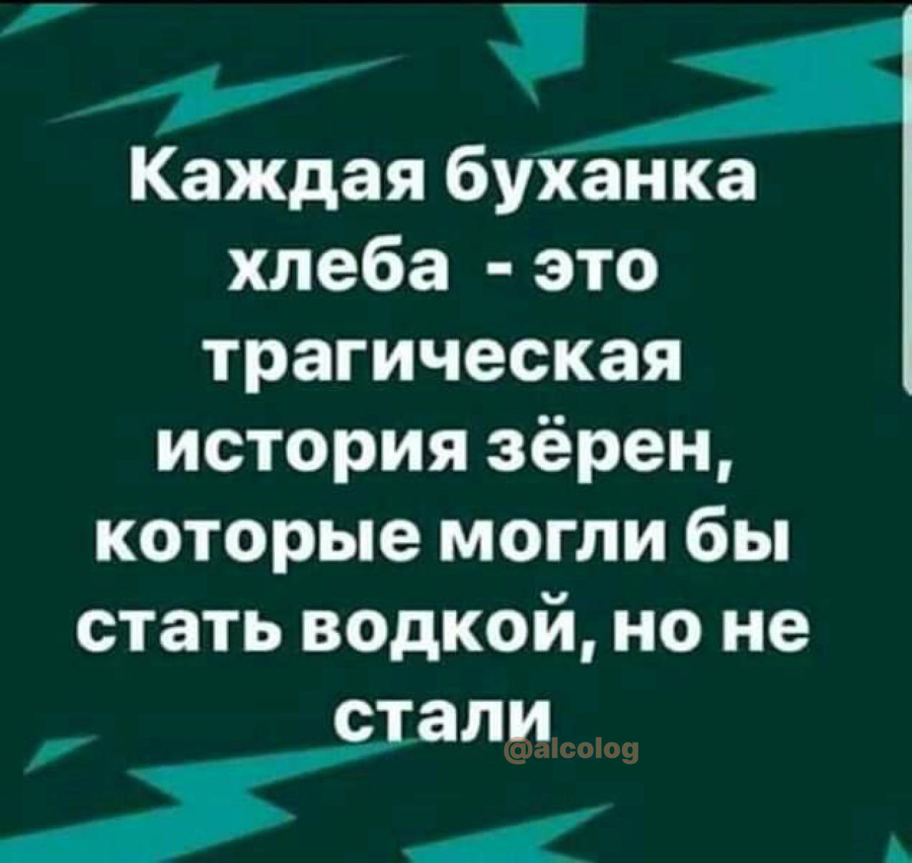 у Каждая буханка хлеба это трагическая история зёрен которые могли бы стать водкой но не СЗПИ