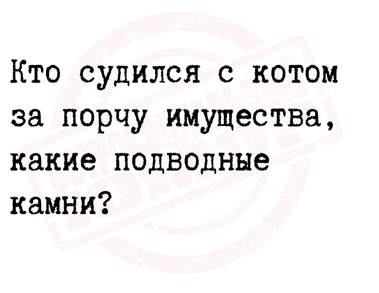Кто судился с котом за порчу имущества какие подводные камни
