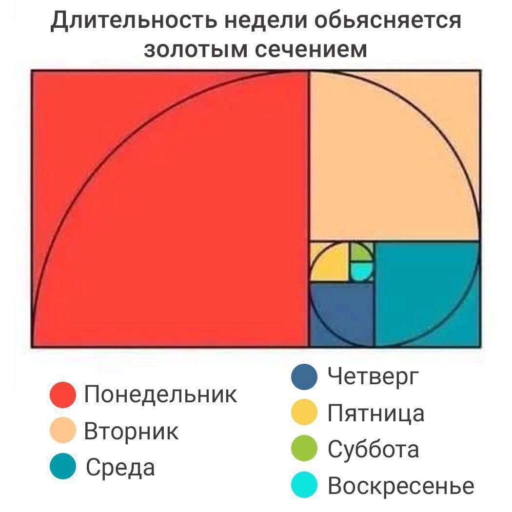 Длительность недели объясняется золотым сечением Четве г Понедельник р Пятница Вторник С ббота Среда у Воскресенье