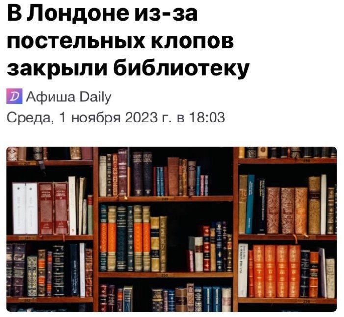 В Лондоне из за постельных клопов закрыли библиотеку ДАфиша Папу Среда 1 ноября 2023 г в 1803