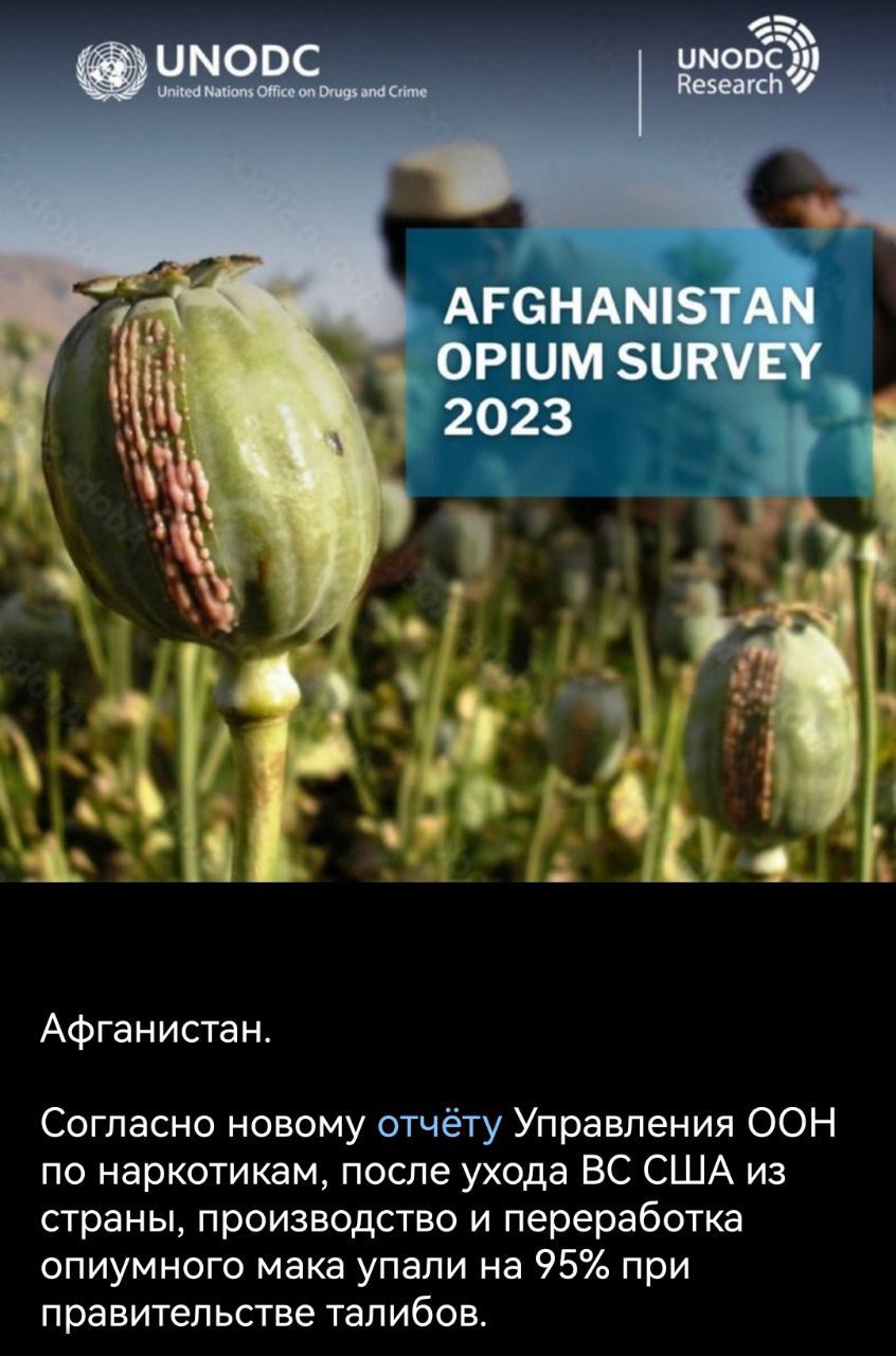 Агсндмвда оршм зи 2023 Афганистан Согласно новому отчёту Управления ООН по наркотикам поспе ухода ВС США из страны производство и переработка опиумного мака упали на 95 при правительстве талибов