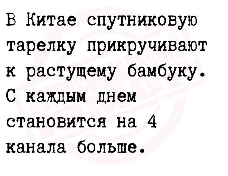 В Китае спутниковую тарелку прикручивают к растущему бамбуку С каждым днем становится на 4 канала больше