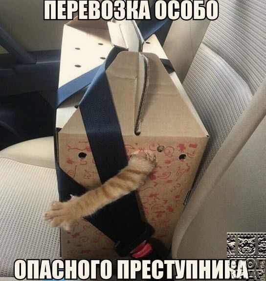 0 ПРЕВППНИМ