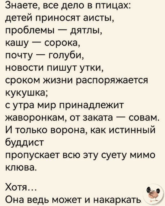 Знаете все дело в птицах детей приносят аисты проблемы дятлы кашу сорока почту голуби новости пишут утки сроком кизни распоряжается кукушка с утра мир принадлежит жаворонкам от заката совам И только ворона как истинный буддист пропускает всю эту суету мимо клюва Хотя Она ВЕДЬ может И накаркать _