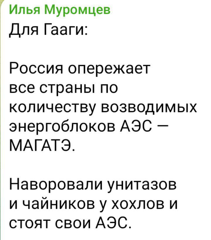 Илья Муромцев Для Гааги РОССИЯ опережает все страны ПО КОЛИЧЭСТВУ ВОЗВОДИМЫХ энергоблоков АЭС МАГАТЭ Наворовали унитазов и чайников у хохлов и стоят свои АЭСА