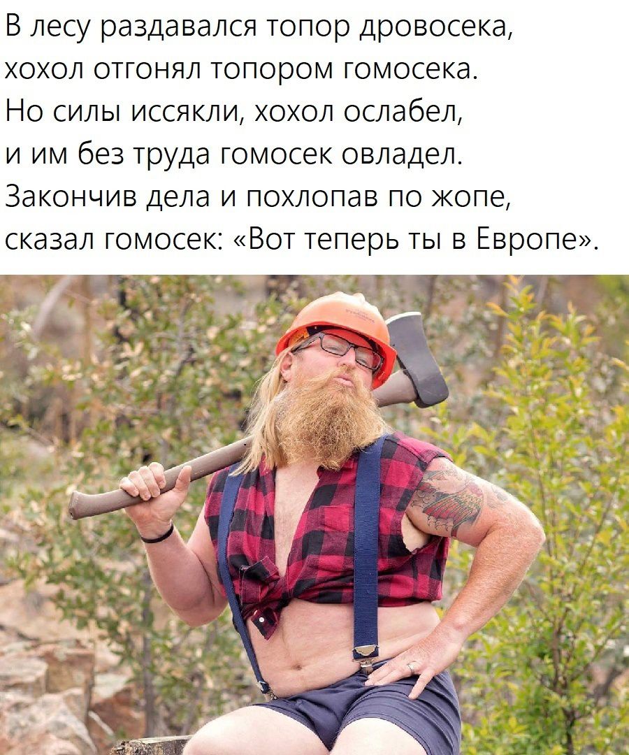 В лесу раздавался топор дровосека хохол отгонял топором гомосека Но силы иссякли хохол ослабел и им без труда гомосек овладел Закончив дела и похлопав по жопе сказал гомосек Вот теперь ты в Европе