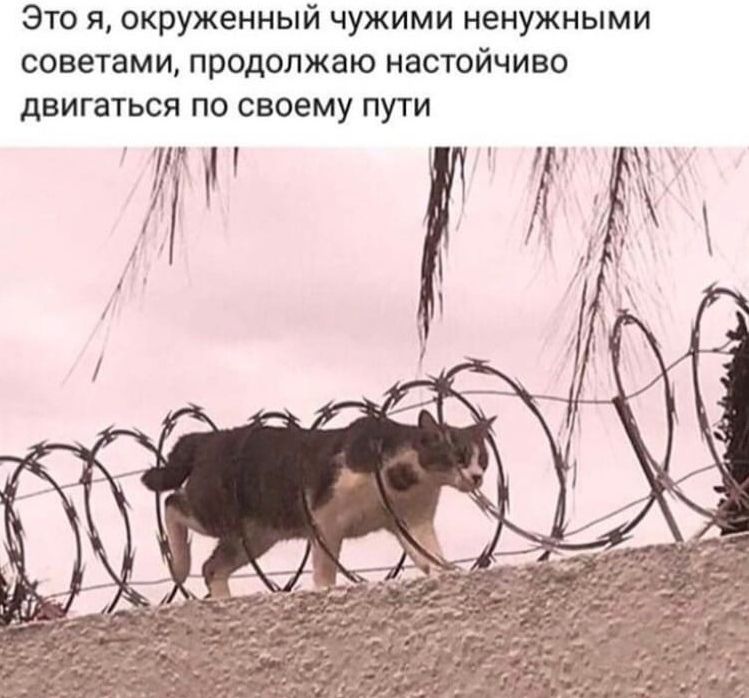 Это я окруженный чужими ненужными советами продолжаю настойчиво двигаться по своему пути м